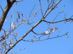 0893_ks22s200324.jpg