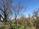 0895_ks23s200324.jpg
