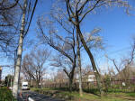 0898_641s200324.jpg