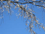 0902_640s200324.jpg