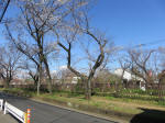 0904_639s200324.jpg