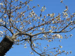 0905_639s200324.jpg