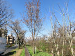 0907_ks24s200324.jpg