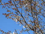 0908_ks24s200324.jpg