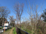 0910_ks25s200324.jpg
