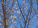 0911_ks25s200324.jpg
