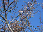 0914_636s200324.jpg