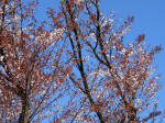 0917_635s200324.jpg