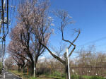 0922_633s200324.jpg