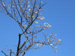 0923_633s200324.jpg