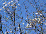 0926_632s200324.jpg