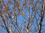 0929_ks31s200324.jpg