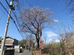 0934_628s200324.jpg