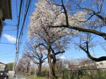 0937_626s200324.jpg