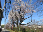 0940_625s200324.jpg
