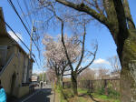 0943_624s200324.jpg