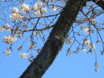 0944_624s200324.jpg