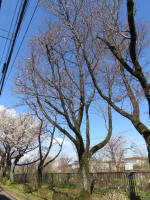 0946_623s200324.jpg
