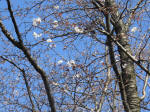 0947_623s200324.jpg
