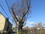 0949_622s200324.jpg