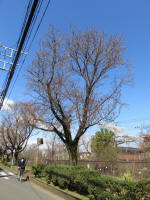 0952_621s200324.jpg