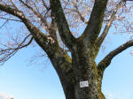 0954_621s200324.jpg