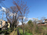 0955_ks28s200324.jpg