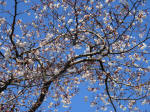 0959_619s200324.jpg