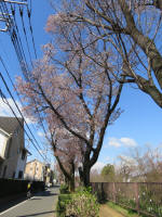 0961_618s200324.jpg