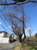 0967_615s200324.jpg
