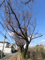 0970_614s200324.jpg