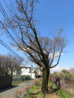 0973_612s200324.jpg