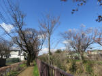 0976_ks35s200324.jpg