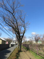 0982_608s200324.jpg