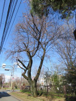 0986_606s200324.jpg