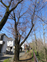 0995_598s200324.jpg
