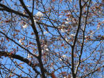 0996_598s200324.jpg