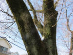 1000_597-1s200324.jpg