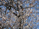 1002_596s200324.jpg
