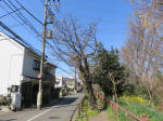 1007_592s200324.jpg