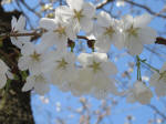 1008_592s200324.jpg