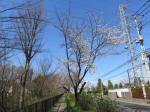 1014_466s200324.jpg