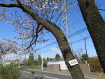 1016_466s200324.jpg