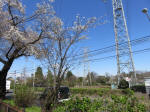1017_465s200324.jpg
