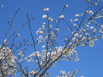 1018_465s200324.jpg
