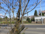 1019_465s200324.jpg