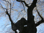 1022_464s200324.jpg