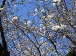 1024_461s200324.jpg
