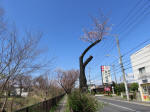 1026_457s200324.jpg