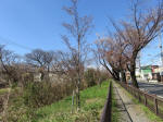 1029_kn28s200324.jpg
